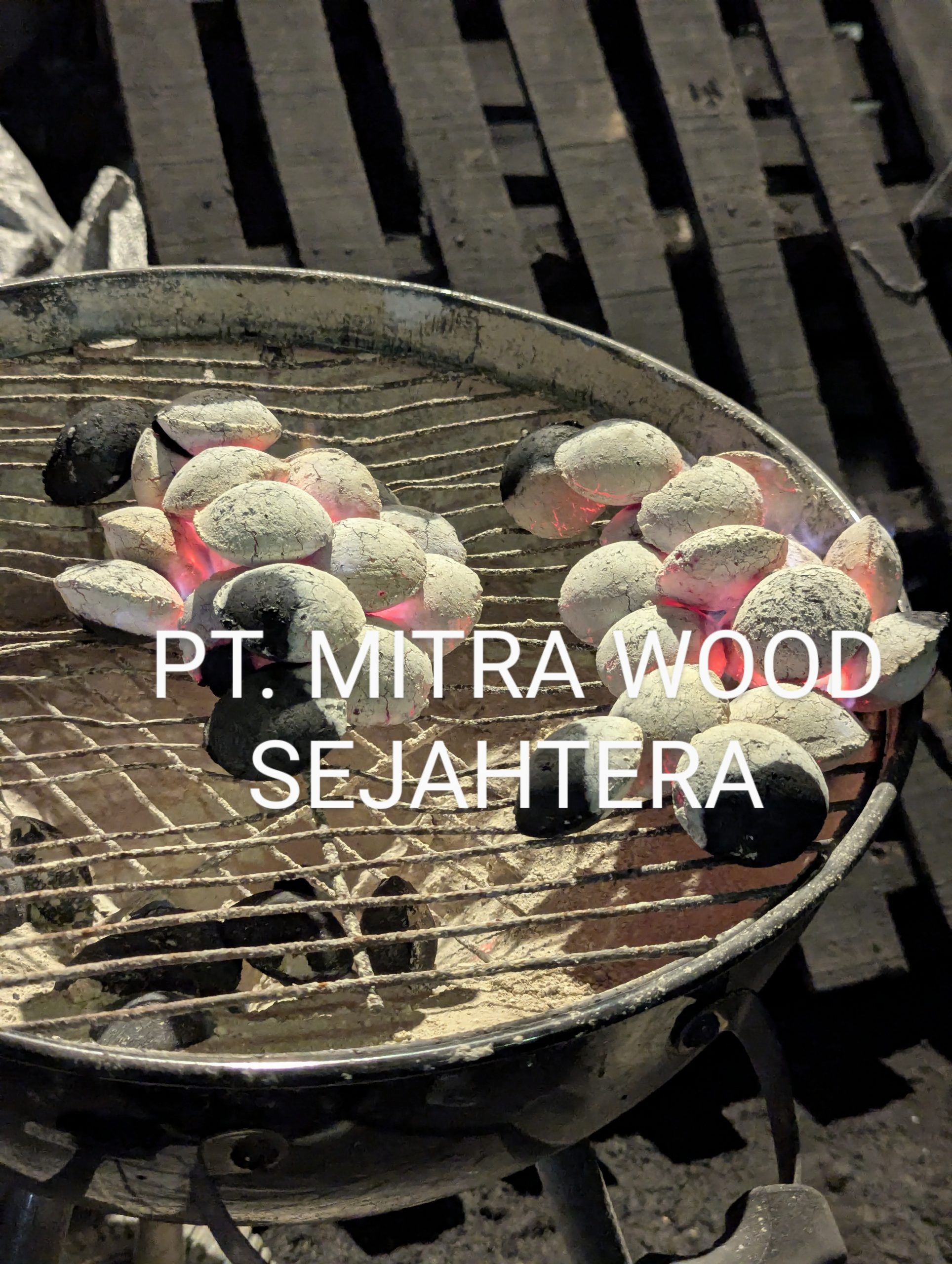 PXL_20250715_171108437.MP~2